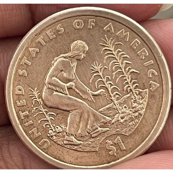 CIRCULATED 2009P SACAGAWEA DOLLAR. NICE COLLECTION - Picture 2 of 8